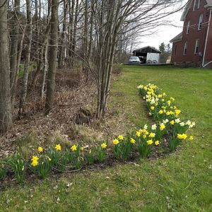 Meet your Posher, Natasha